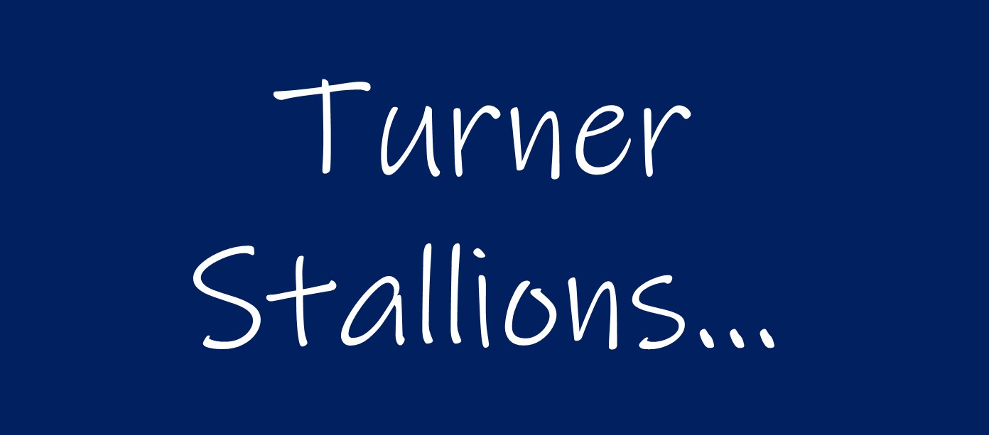 Turner Stallions