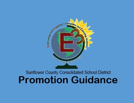 Promotion Guidance