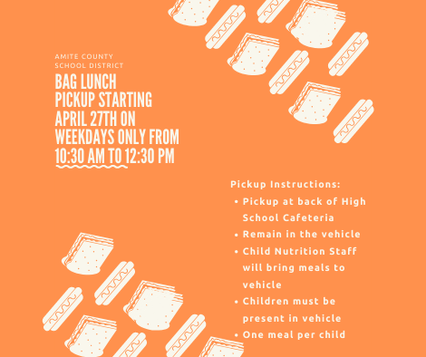 Bag Lunch Pickup Bag Lunch Pickup