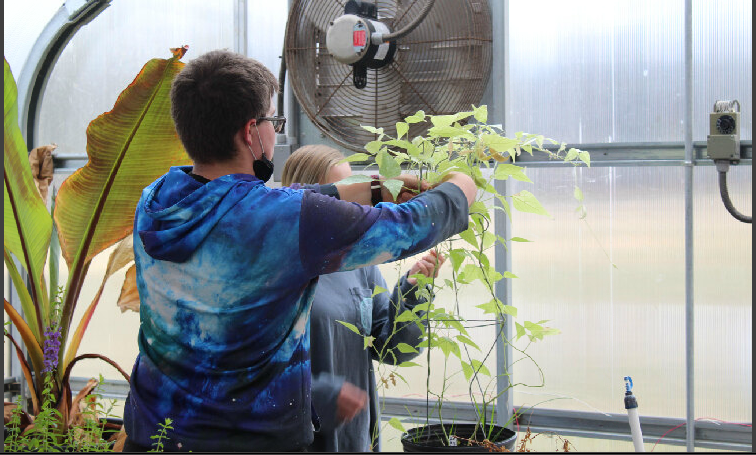 A day in Ag. Class and the greenhouse with Mr. Peek