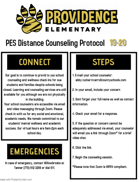 PES Distance Counseling Protocol PES Distance Counseling Protocol