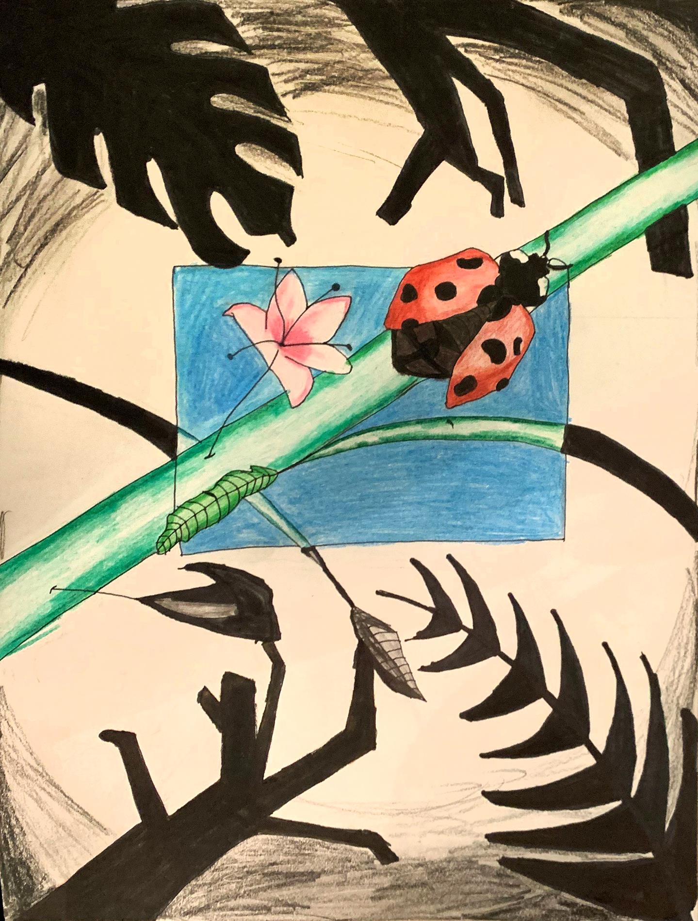 22) Laila Morris - Coming Into The Light - Mixed Media - 7th Grade 22) Laila Morris - Coming Into The Light - Mixed Media - 7th Grade