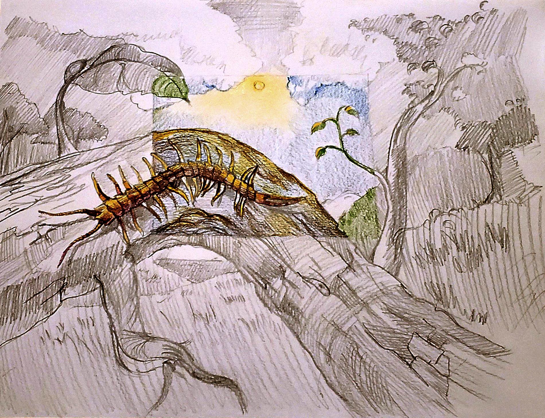 31) Marcel Fundora Jr. - Centepede Crawling - Mixed Media - 6th Grade 31) Marcel Fundora Jr. - Centepede Crawling - Mixed Media - 6th Grade