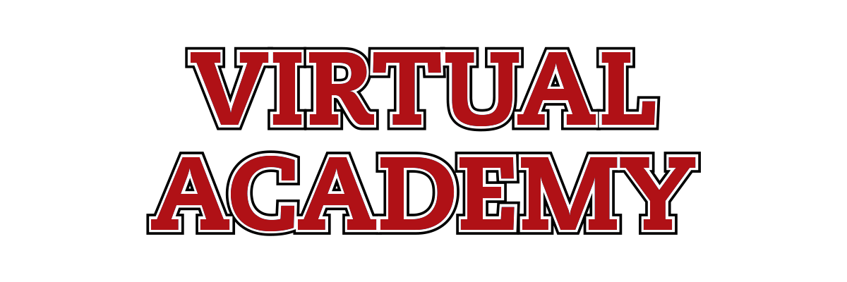 Virtual Academy