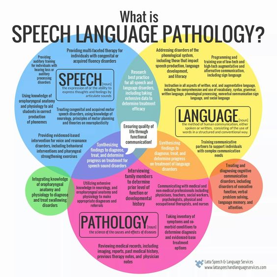 What is a Speech Language Pathologist Infogram