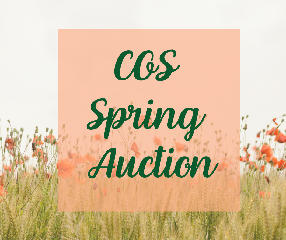 Spring Auction