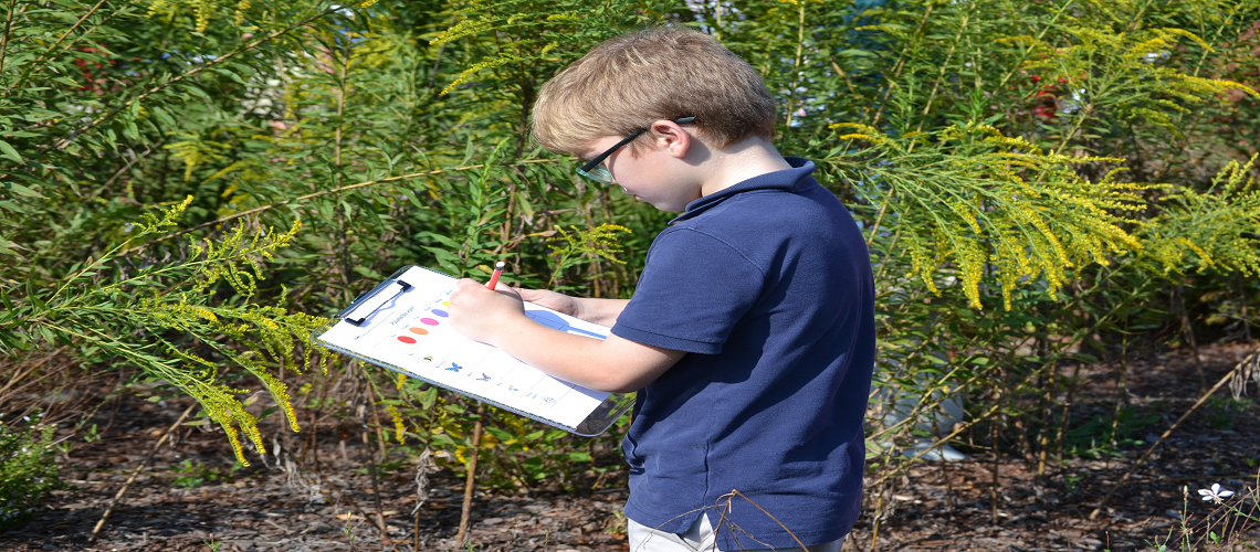 Young student on a hunt for pollinators