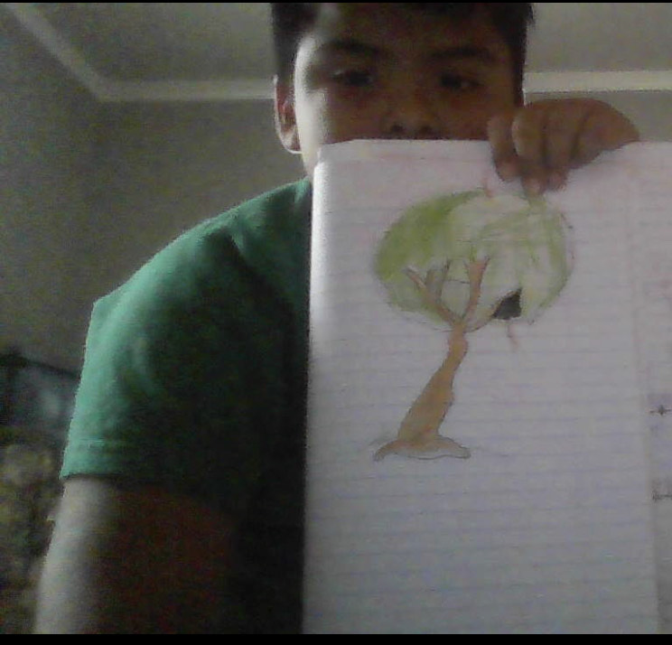 Drawing a Tree Drawing a Tree