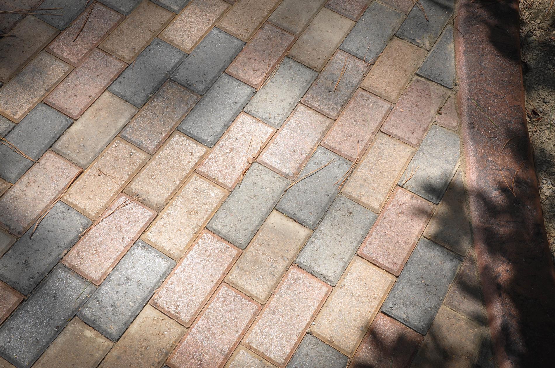 Close-up of brick pathway