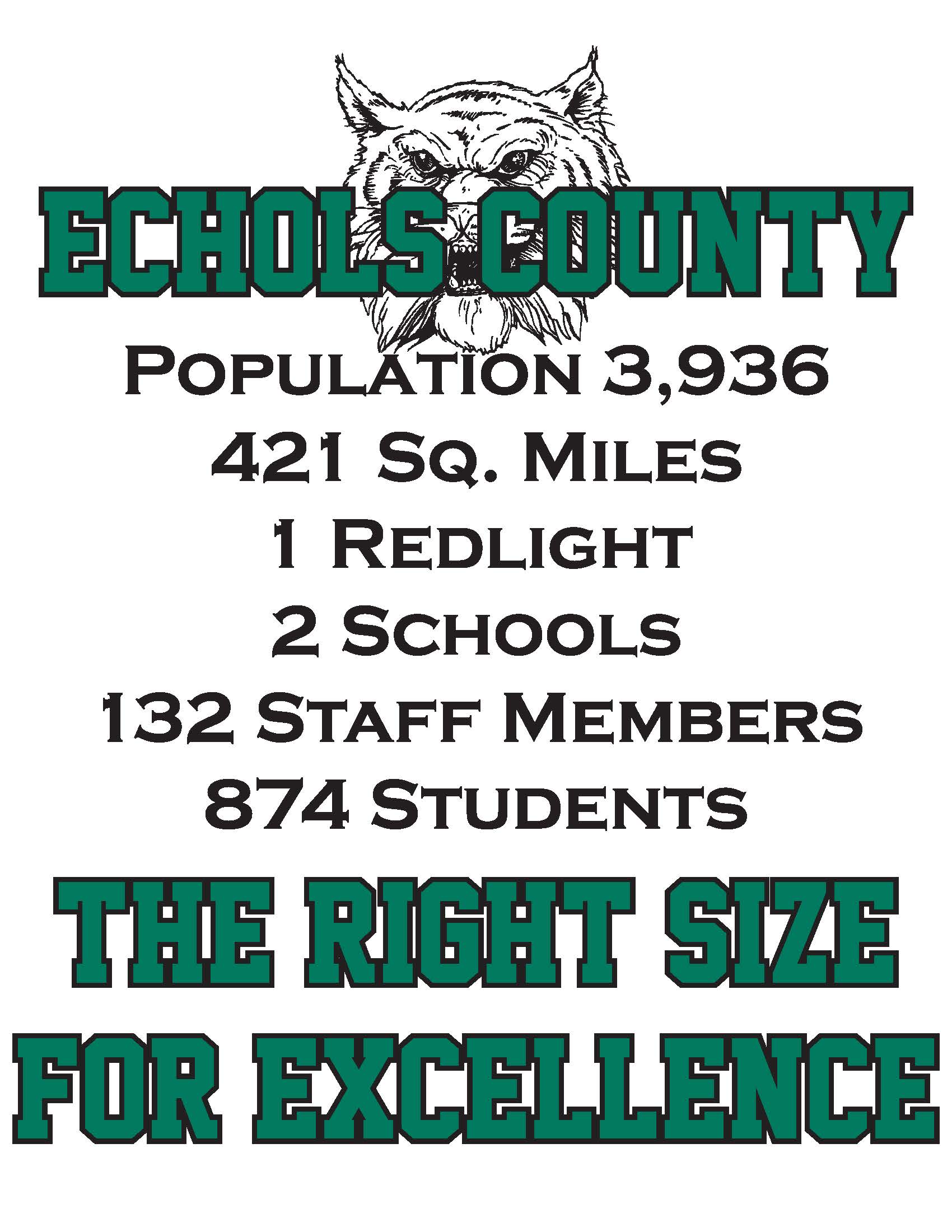 Echols County Stats