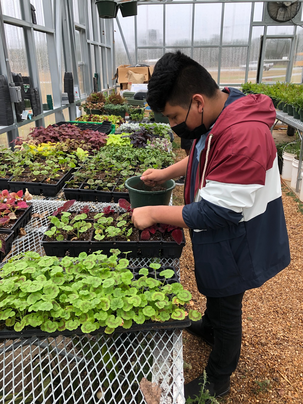 horticulture