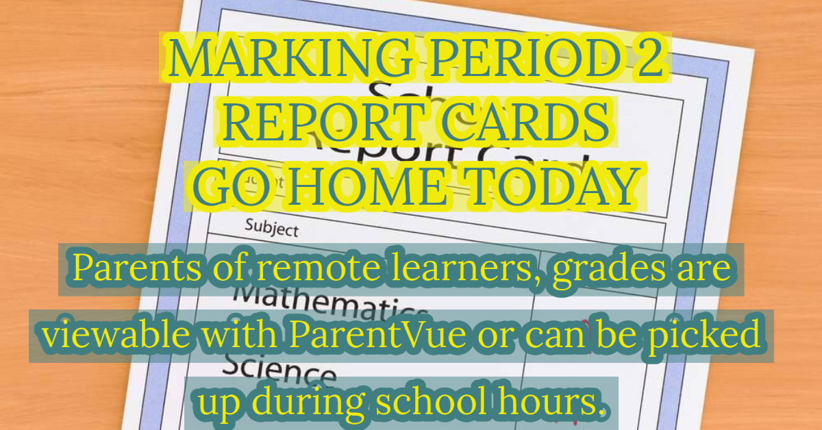 Mark 2 Report Cards Mark 2 Report Cards