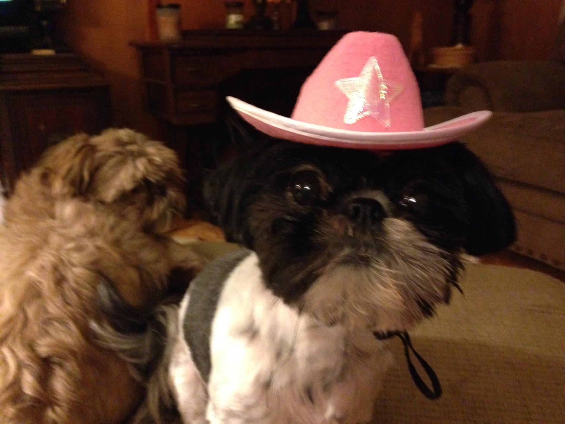 Olivia is ready for the rodeo!