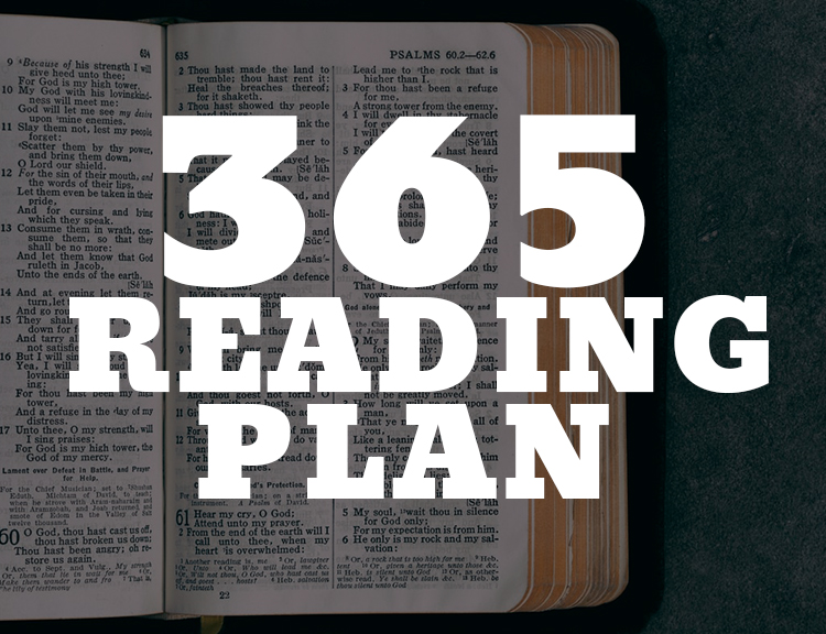 365 Reading Plan