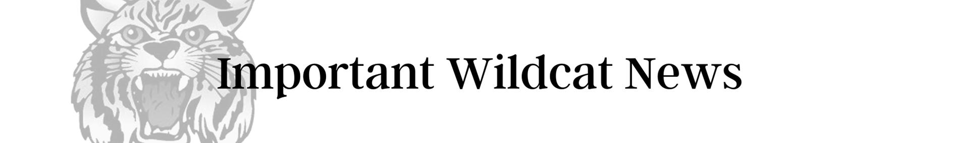 Wildcat news
