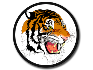 Tiger Mascot