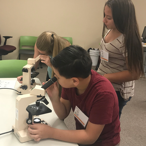 Students looking through microscopes during STEM academy