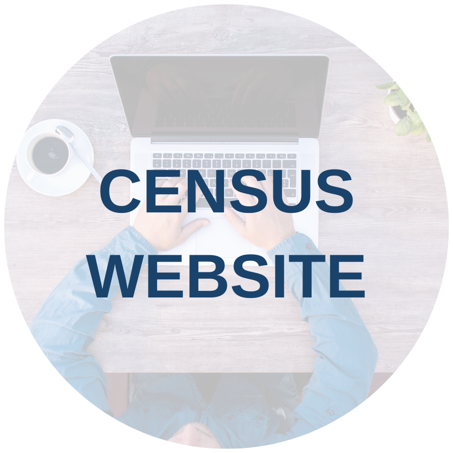Census 2020 website