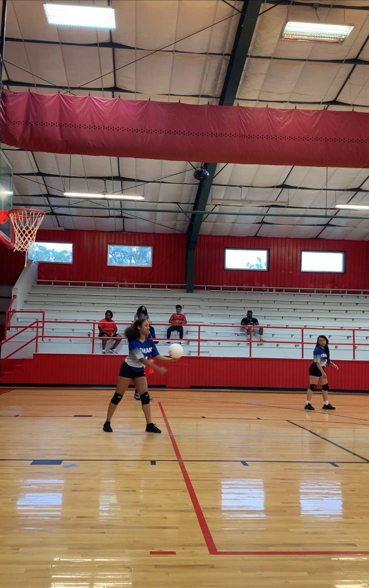 volleyball volleyball