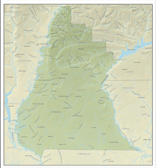 Liberty County outline