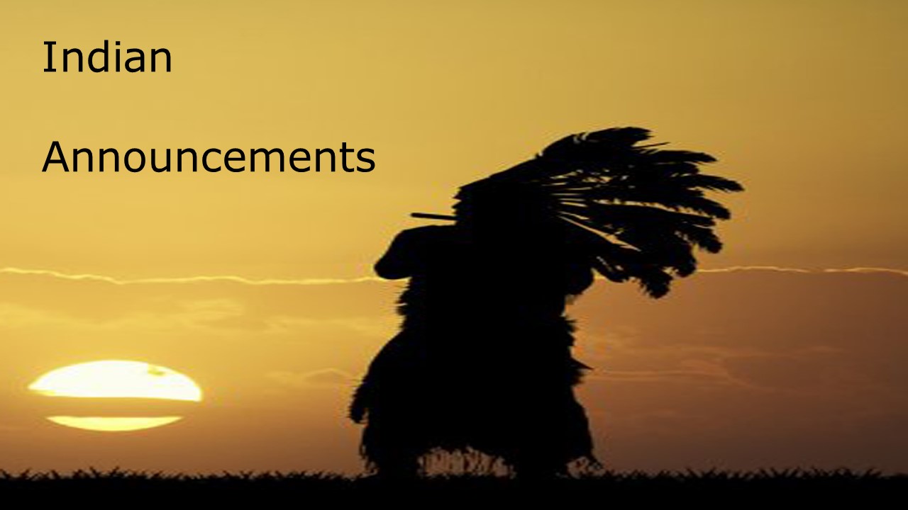 Indian Chief looking at sunset