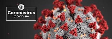 image of covid virus