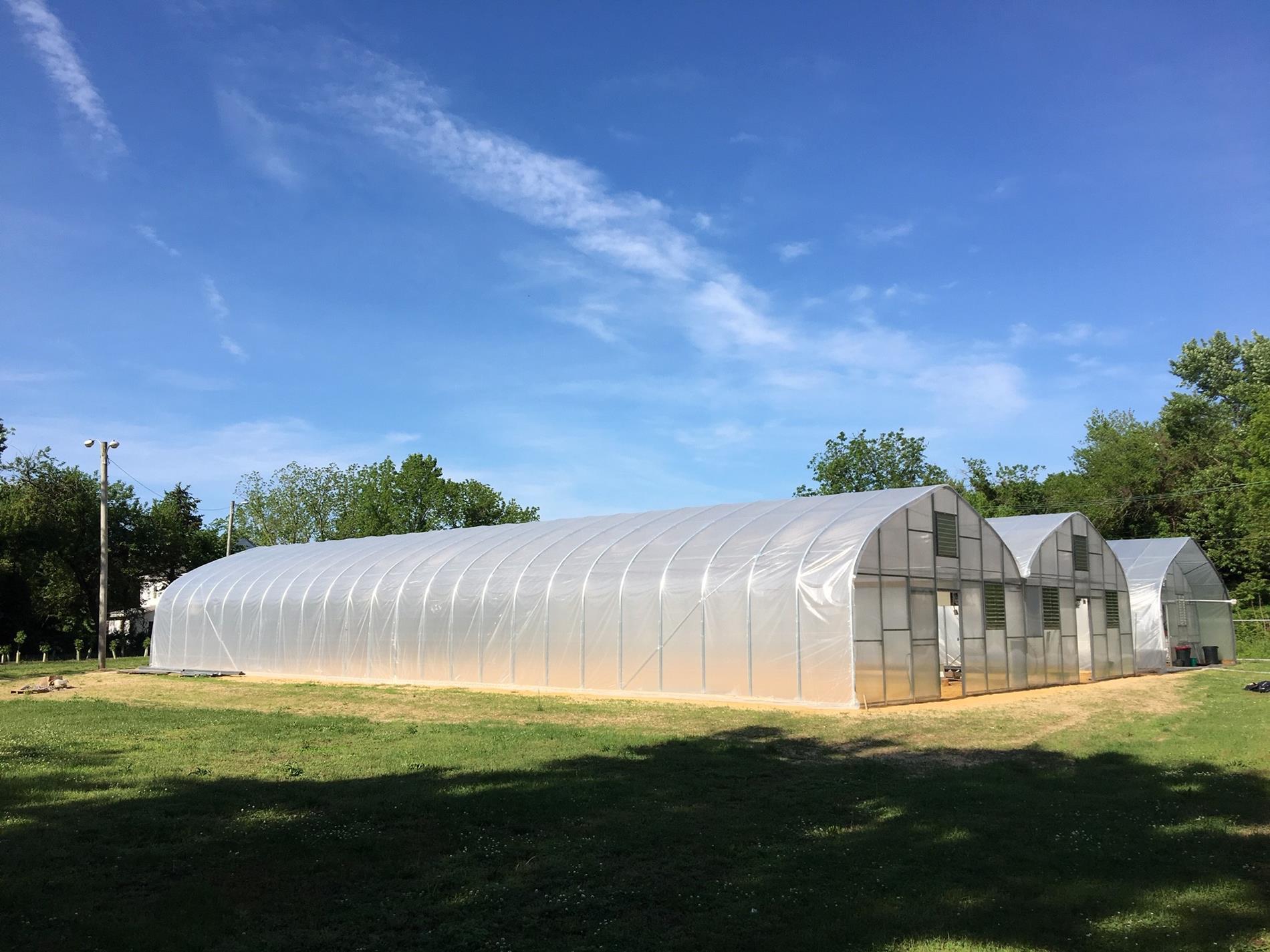 Greenhouses photo Greenhouses photo
