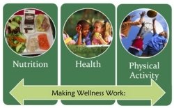 Making Wellness Work Making Wellness Work