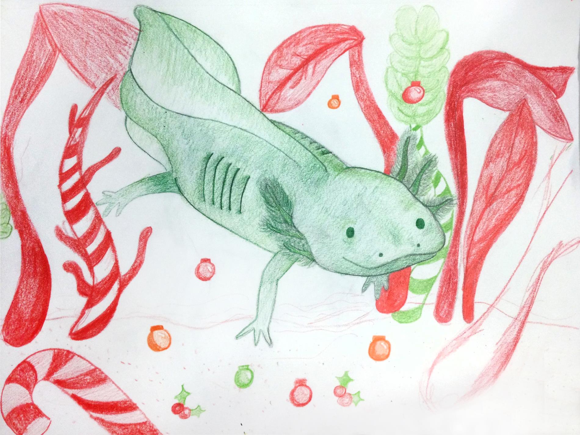 11) Isabella Battaglia - Merry Mexican Walking Fish - Colored Pencil - 8th Grade 11) Isabella Battaglia - Merry Mexican Walking Fish - Colored Pencil - 8th Grade
