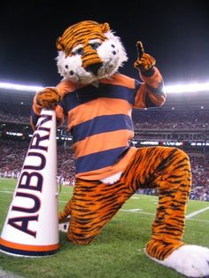 War Eagle 