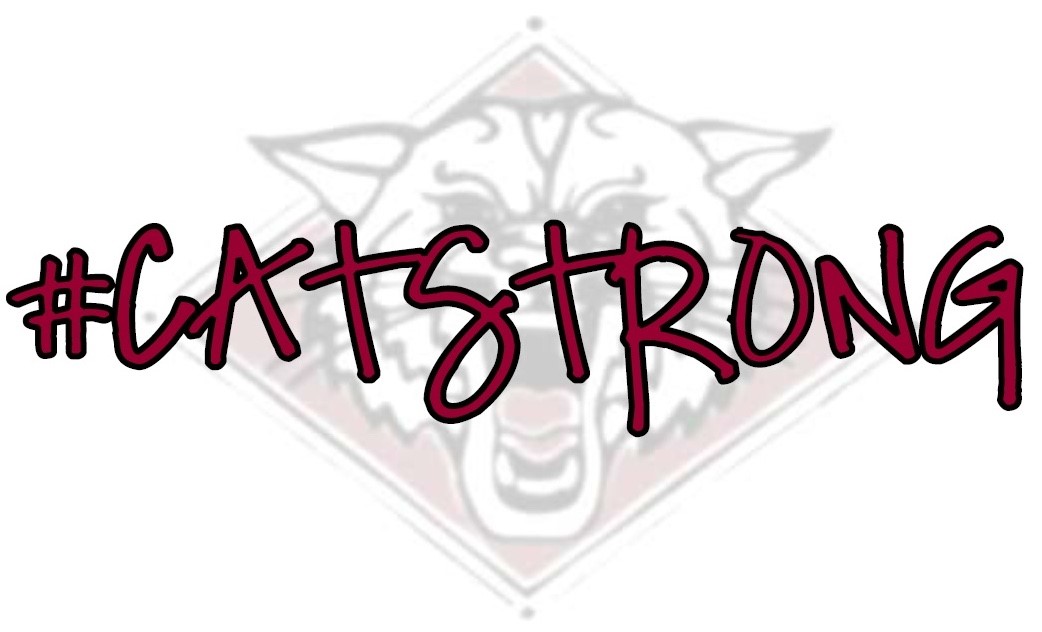 school logo with hashtag cat strong school logo with hashtag cat strong