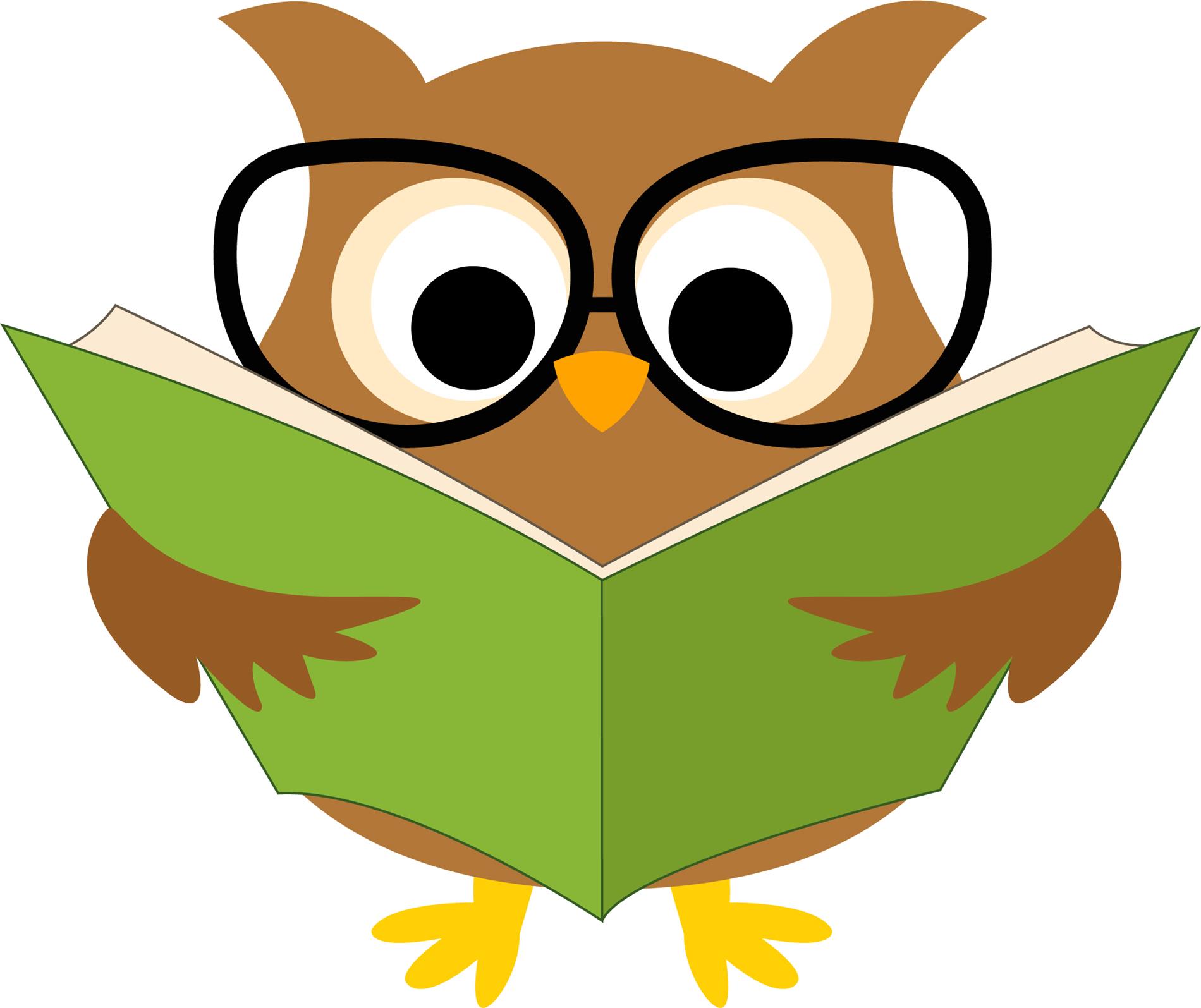 owl reading