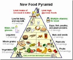 Food Pyramid