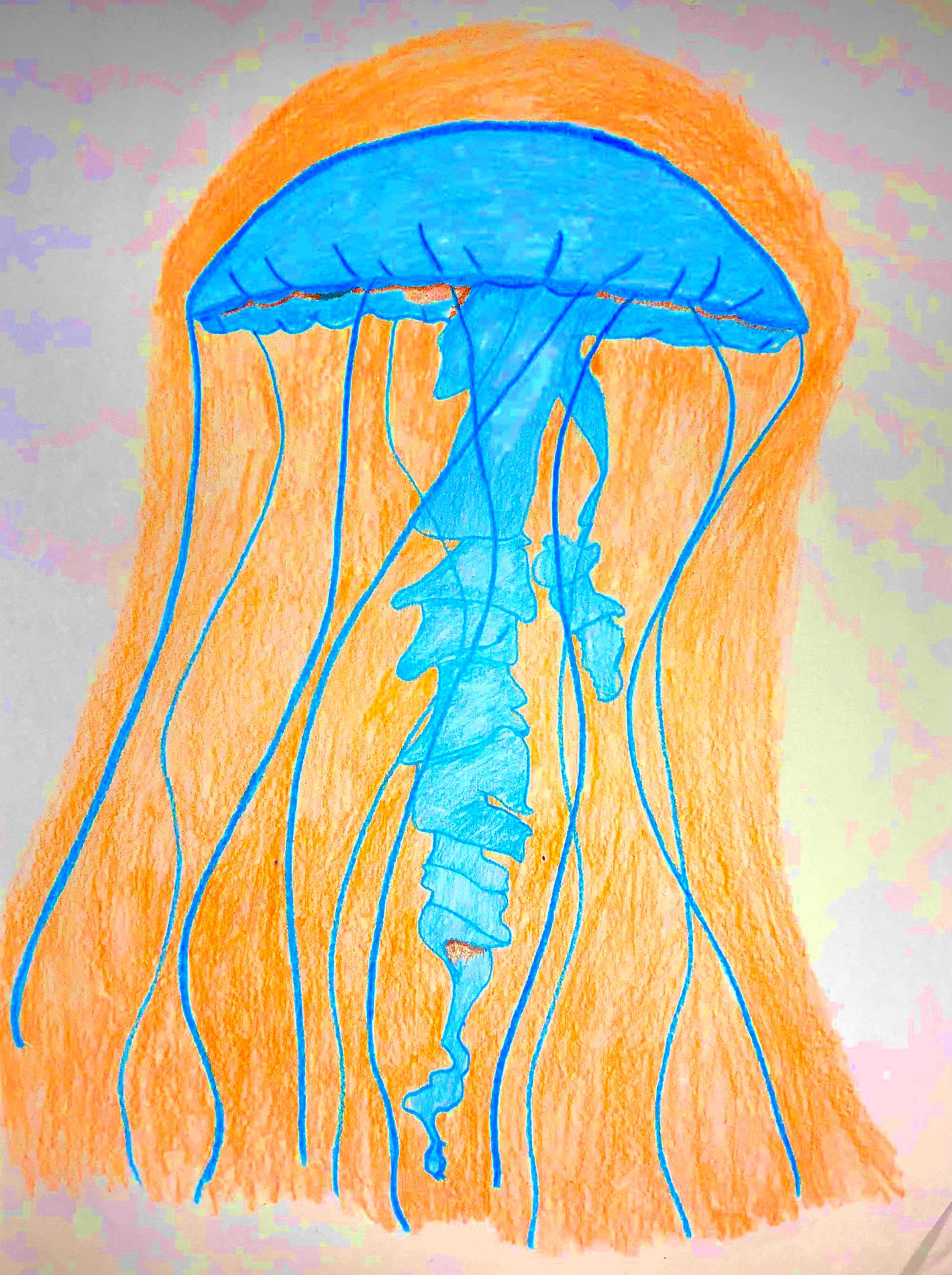 27) Louis Alvarez III - The Forgotten Jellyfish - Colored Pencil - 7th Grade 27) Louis Alvarez III - The Forgotten Jellyfish - Colored Pencil - 7th Grade
