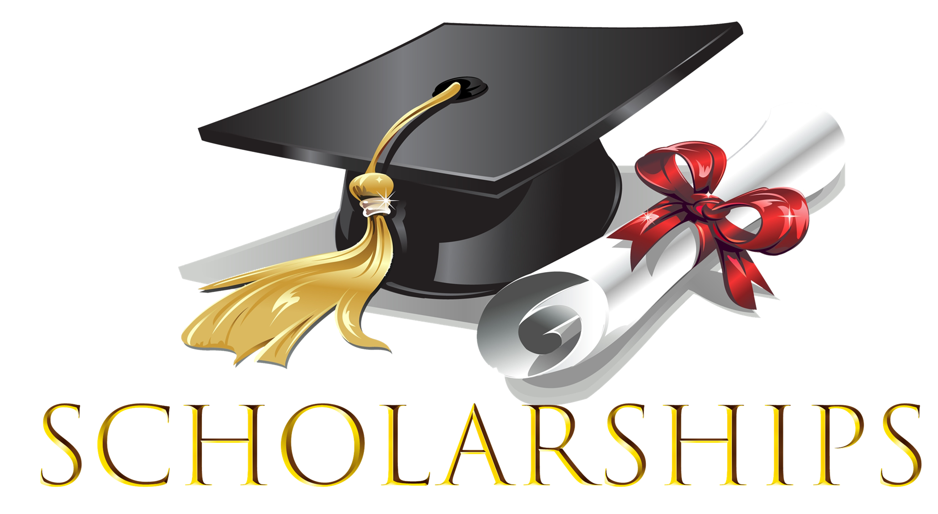 scholarships by major