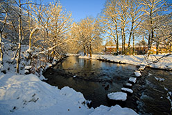 Stepping Stones Logo Winter
