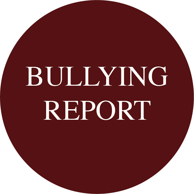 Bullying Report