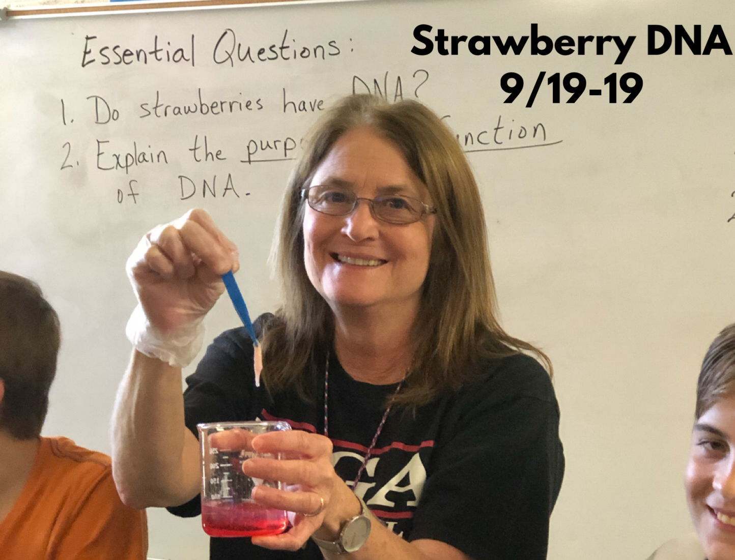 Cook Strawberry DNA