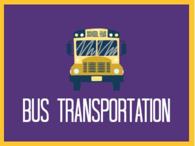 infographic infographic