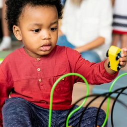 Developmental Milestones Developmental Milestones