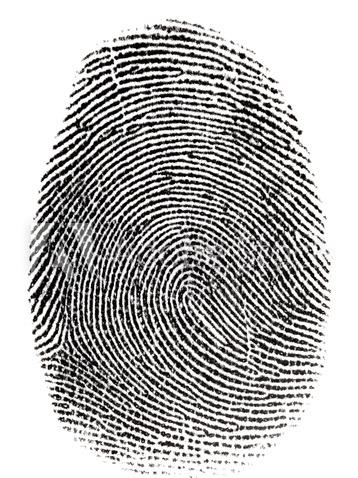 Fingerprinting Image
