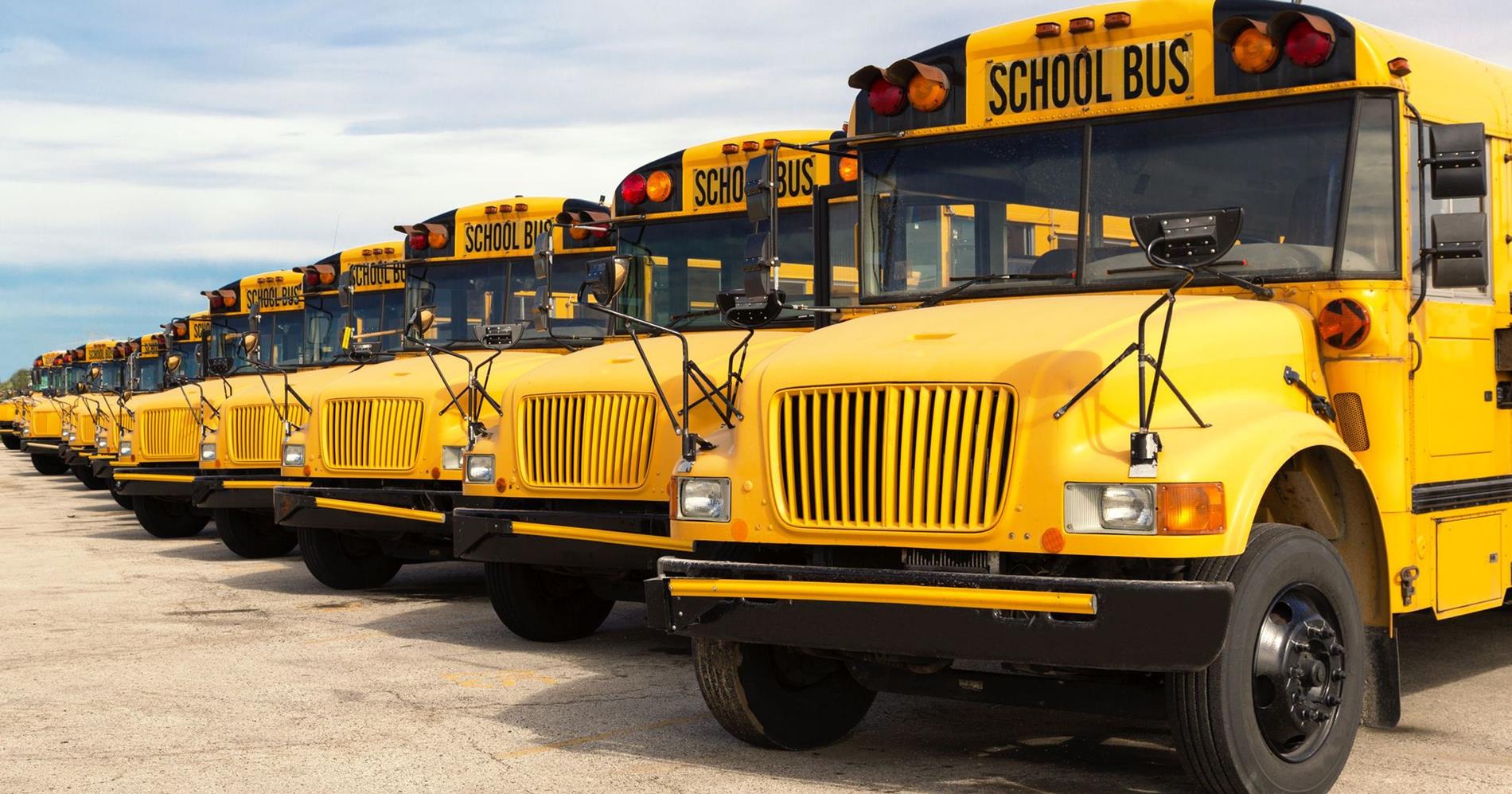 School Buses in a row